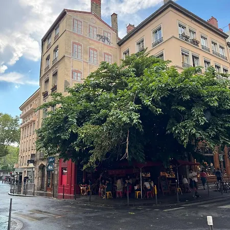 Cosy Lyon1 *